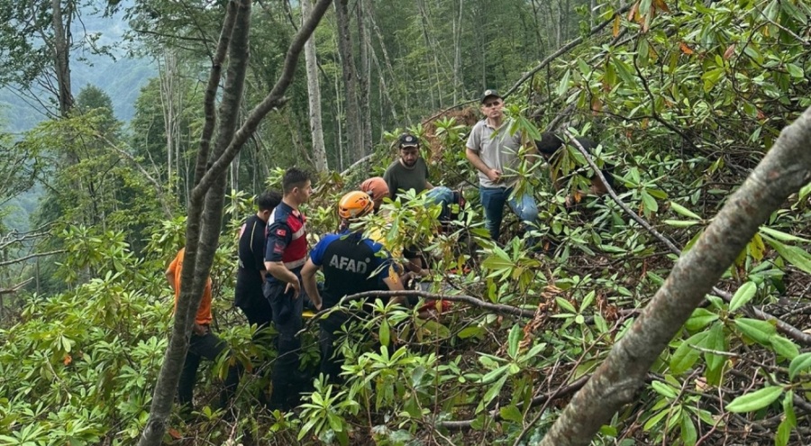 Ağaçlara damgalama yaparken metrelerce yükseklikten uçuruma yuvarlandı