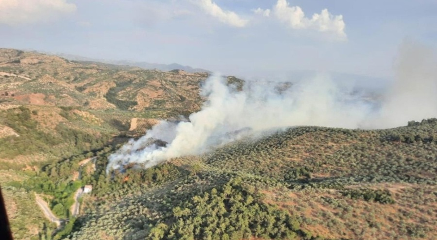 Aydın'daki orman yangını kontrol altına alındı