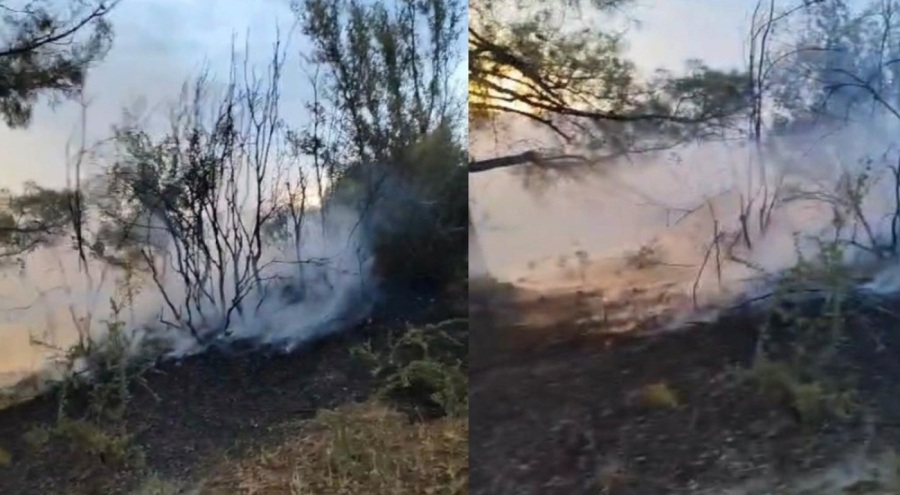 Denizli'de düşen yıldırım, orman yangınına neden oldu