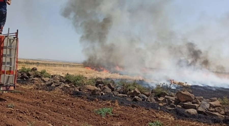 Şırnak'ta anız yangını: 100 dönüm alan zarar gördü