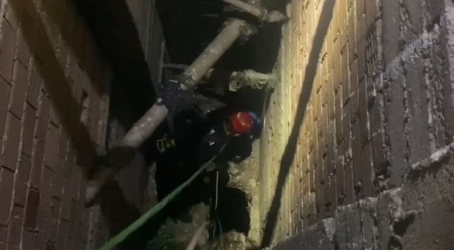 Bursa'da kedi kurtarma operasyonu!