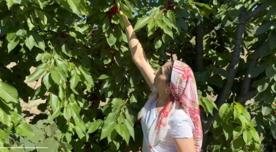 Evinde anne, tarlada çiftçi, mağazada patron