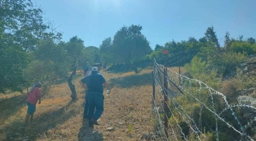 Akbelen Ormanı dikenli tellerle çevrildi! "İnsanlar zeytinliğine uçakla mı inecek?"