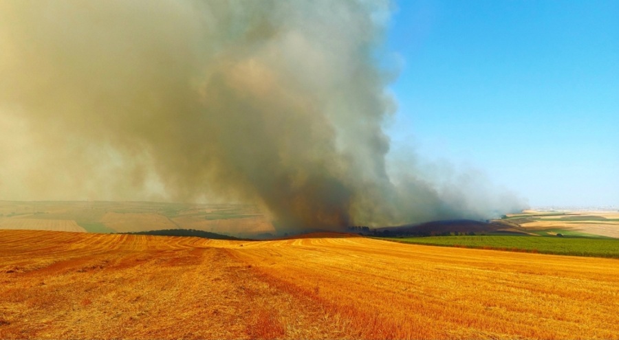Tekirdağ'da bin 500 dönümlük alan yandı