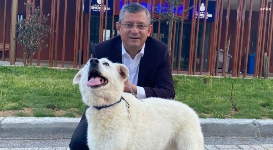 Özel'den 'ötenazi' teklifine tepki: 'Yalnızca insani bir yaklaşımla çözülebilir'