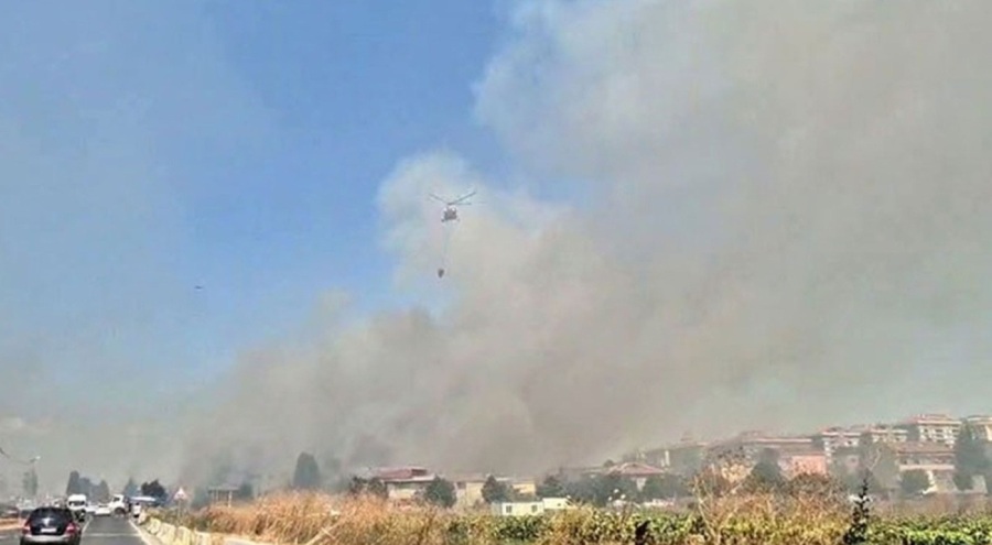 Otluk alanda yangın