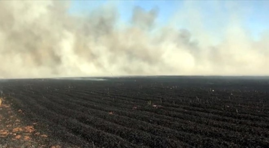 Anız yakan kişiye 58 bin lira ceza