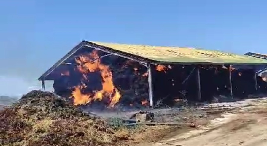 Hayvan çiftliğinde yangın!