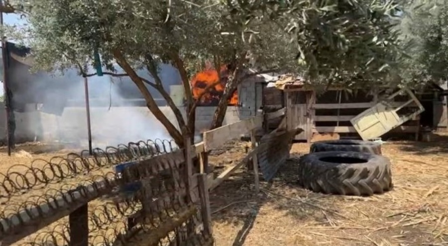 Samanlık yangını büyümeden söndürüldü