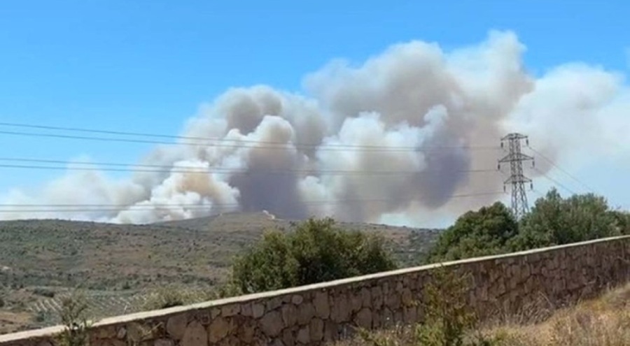 Çeşme'deki orman yangınında 3 kişi öldü