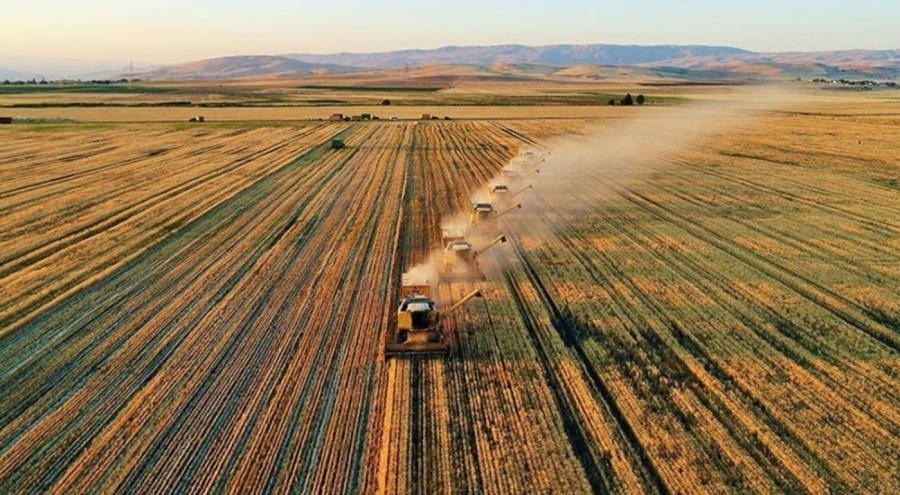 Tarım üreticileri fiyatları yavaşlamayı sürdürdü
