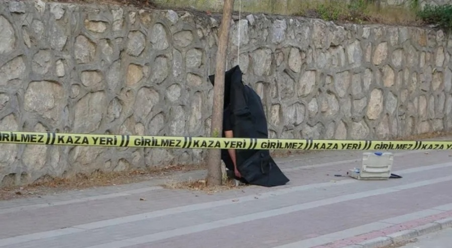 İş adamı yol kenarındaki ağaca asılı bulundu