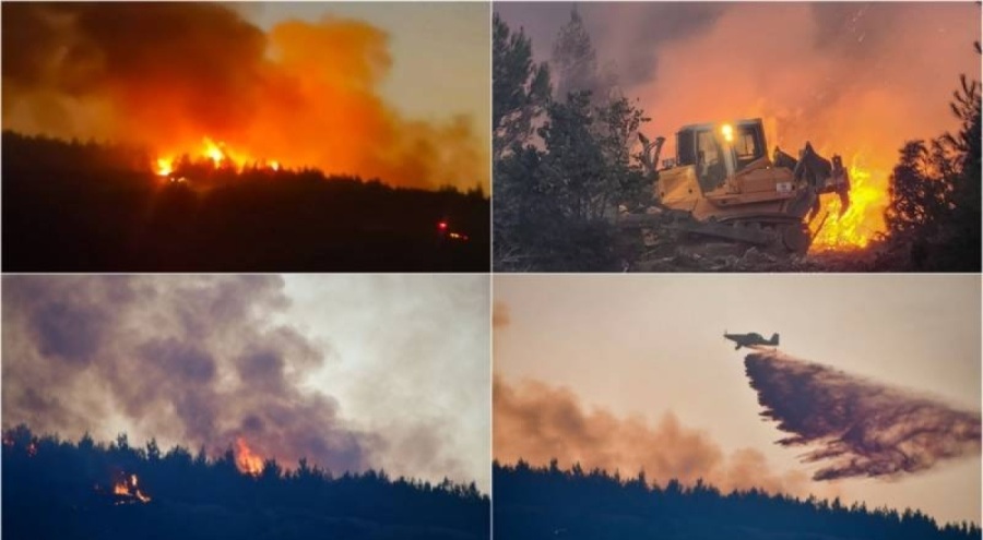 100 hektar alan zarar gördü; Balıkesir'deki orman yangını kontrol altına alındı