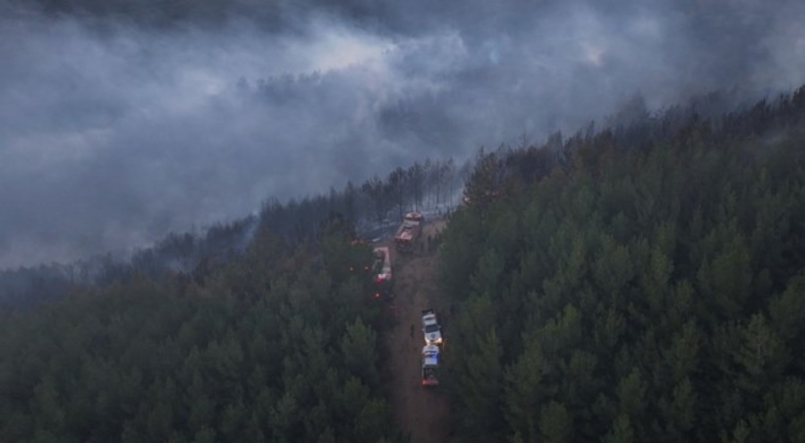 İzmir'de orman yangını