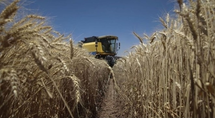 Tarım üretici fiyatlarında artış