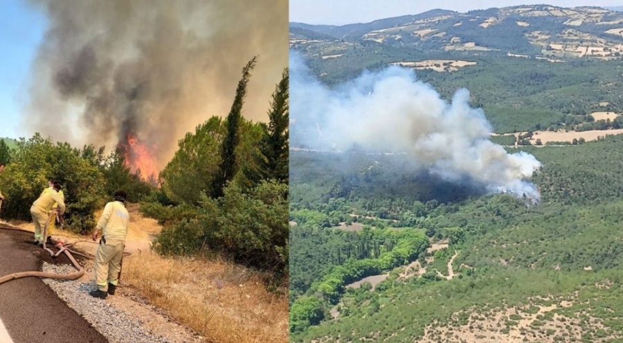 Balıkesir ve İzmir'de yangın alarmı