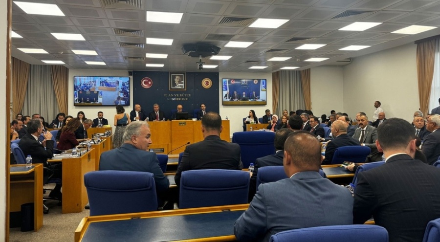 Sokak hayvanları teklifinin ilk 3 maddesi komisyonda kabul edildi