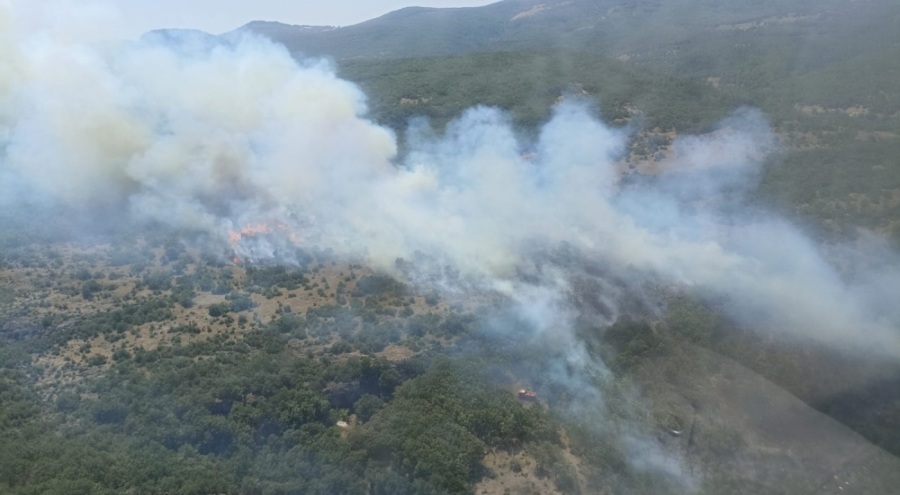 Bursa'daki orman yangını kontrol altına alındı
