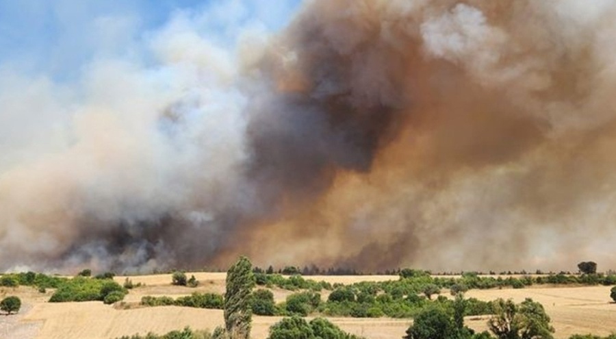 Balıkesir'de orman yangını: 3 kişi gözaltına alındı