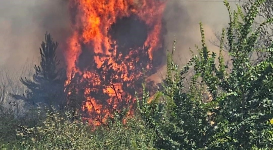 Komşudaki yangına Türkiye'den destek