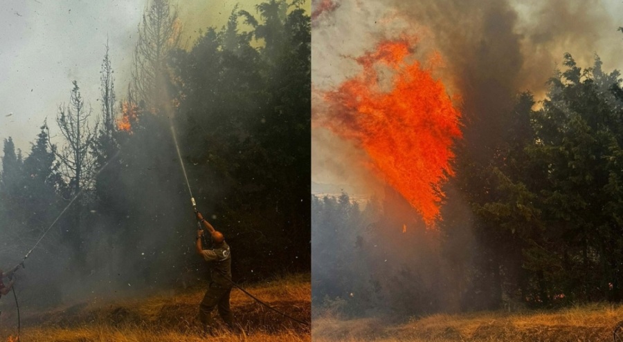 Çanakkale'de orman yangını