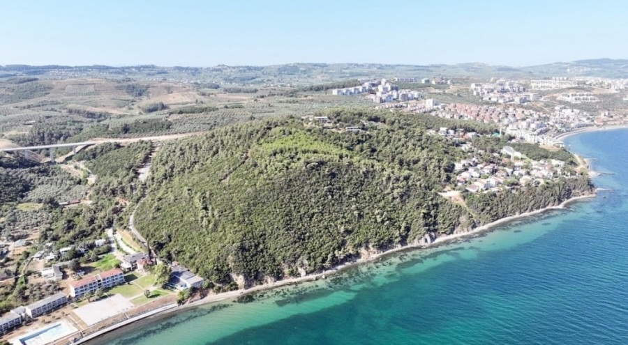 Mudanya Belediyesi de 116 dönümlük deniz manzaralı orman ihalesine katılacak