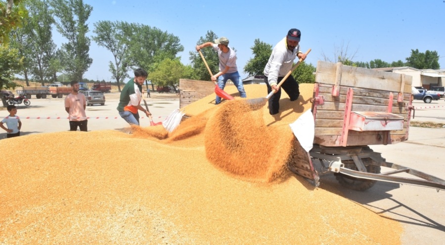 TMO, Yenişehir'den 3 bin 500 ton hububat aldı