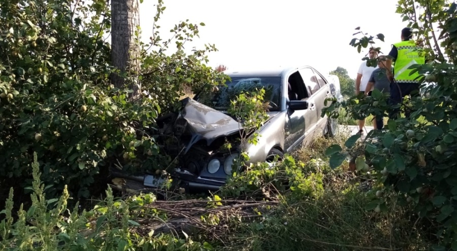 Bursa'da otomobil ağaçlara çarptı! Yaralılar var