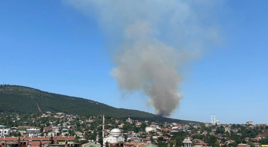 Aydos Ormanı'nda yangın çıktı