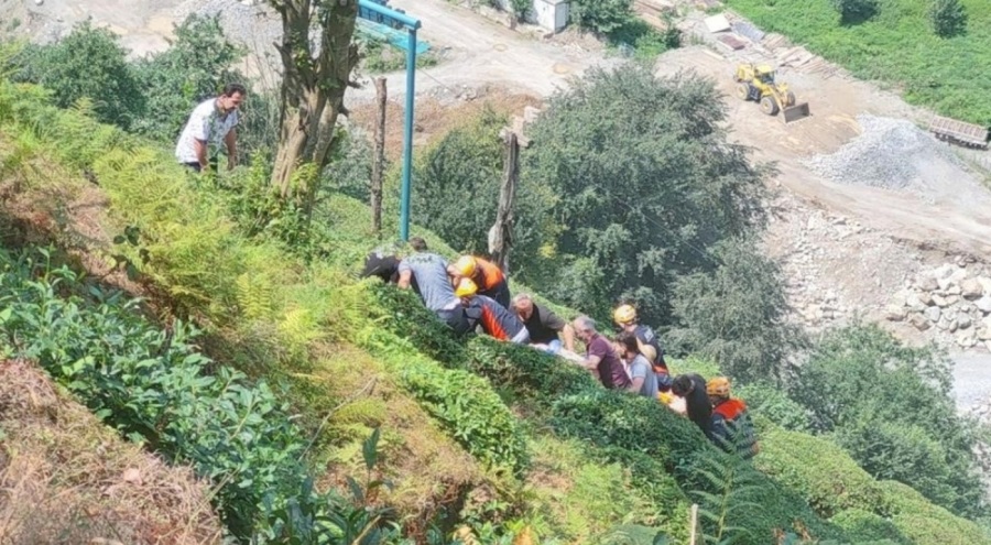 Feci son! Çay toplarken elektrik akımına kapıldı