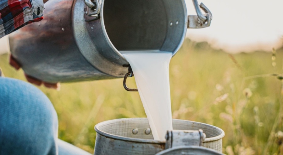 Süt sektöründe yeni kriz kapıda