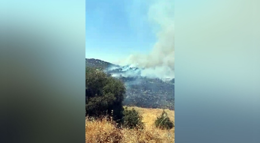 Kahramanmaraş'ta orman yangını