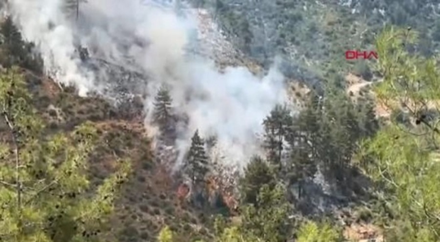 Adana'da orman yangını