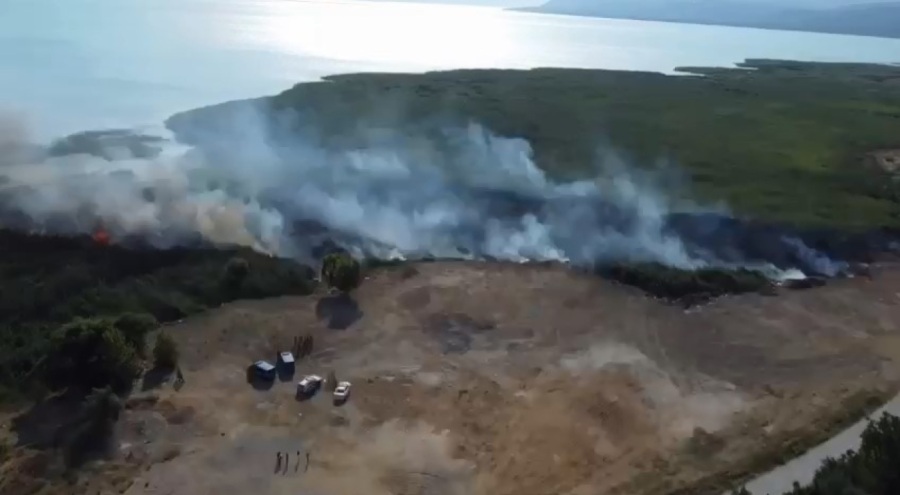 İznik Gölü yakınındaki sazlık alanda yangın
