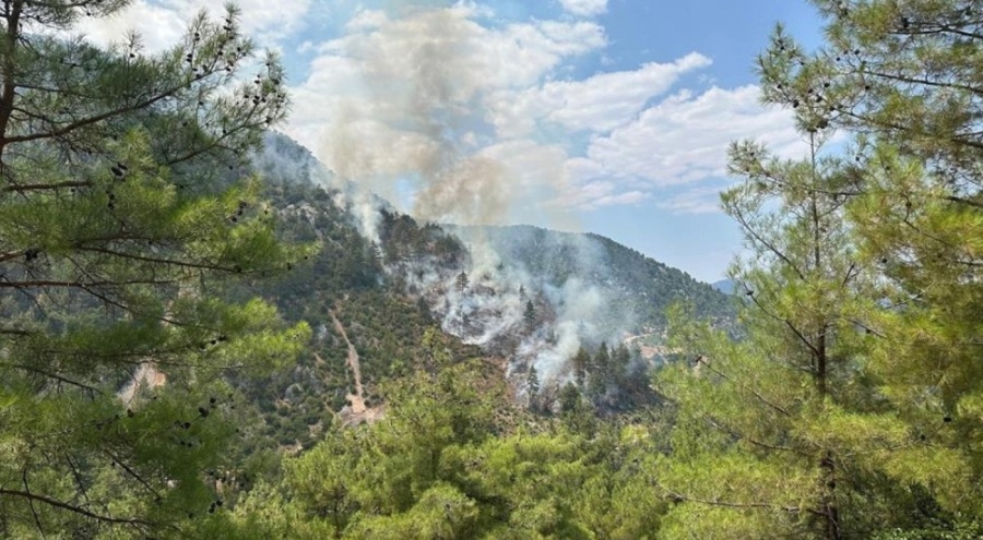 Adana'daki orman yangını kontrol altına alındı