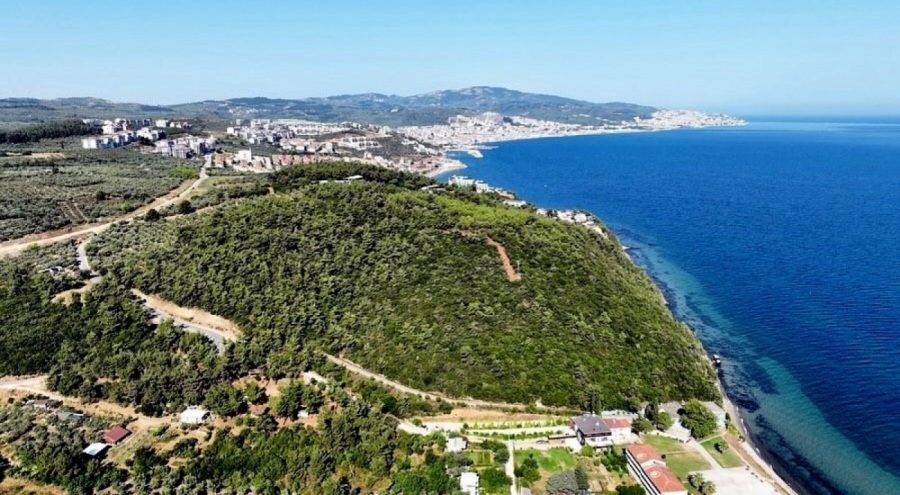 Bursa'nın 116 dönümlük deniz manzaralı orman ihalesine en yüksek fiyatı özel şirket verdi