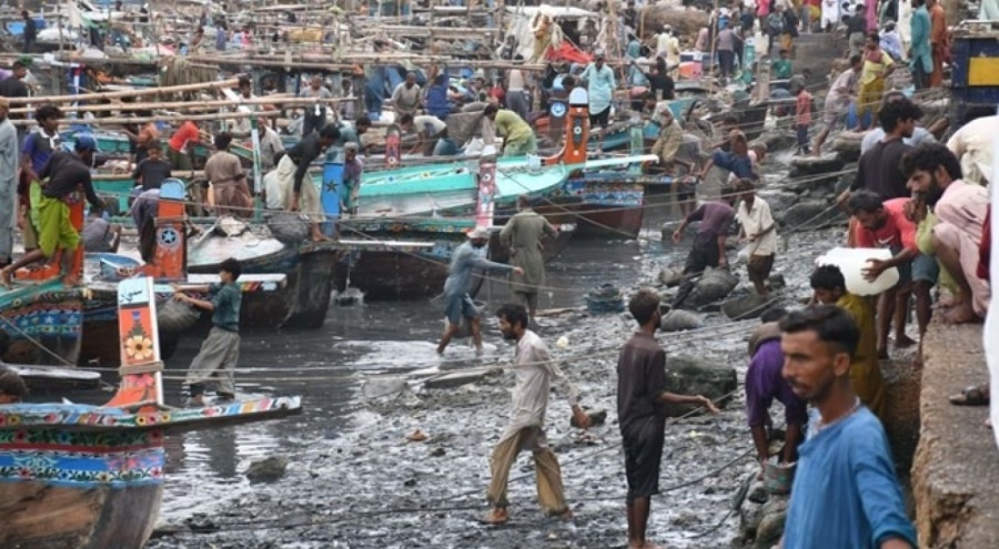 Pakistan denizlerinde "ölü bölge" alarmı verildi