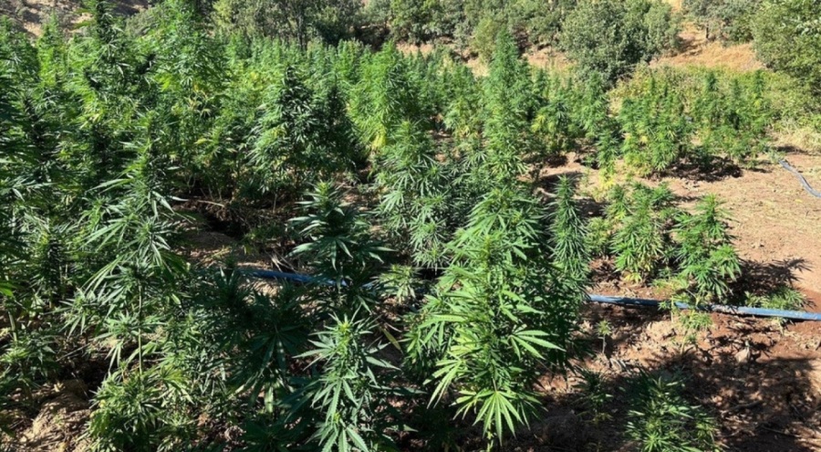 Bingöl'de narkotik operasyonu! 40 bin 660 tanesi ele geçirildi