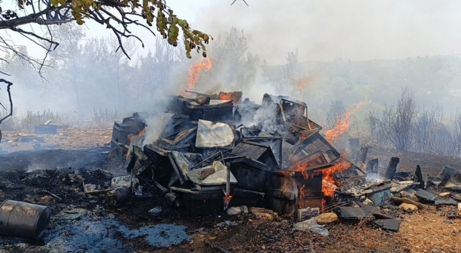 Manavgat'ta orman yangını