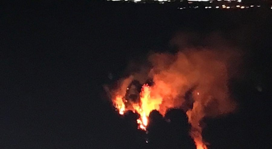 Ormanlık alanda yangın