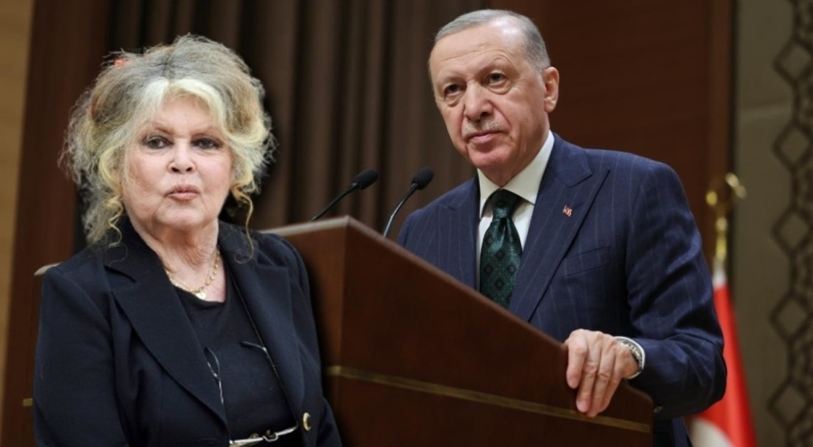 Brigitte Bardot'dan Cumhurbaşkanı Erdoğan'a sokak hayvanları çağrısı
