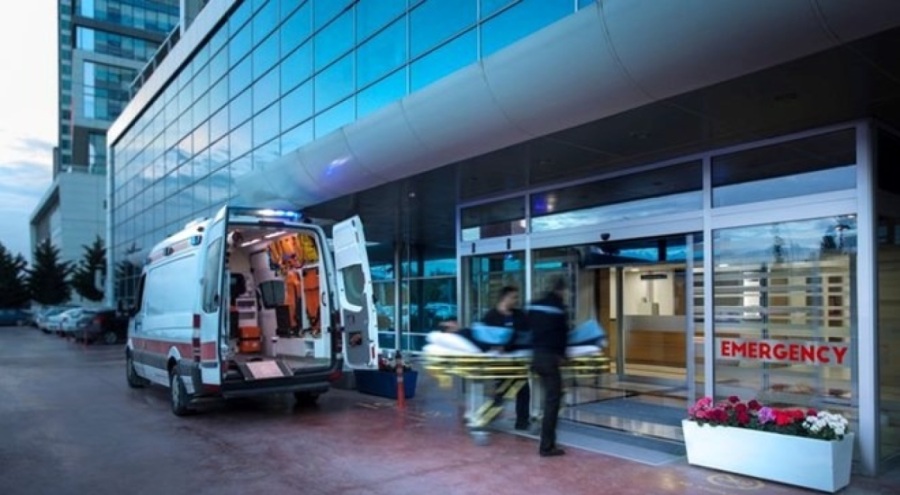 Domuz sandığı kayınçosunu öldürdü