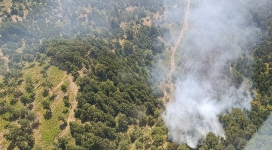 Balıkesir ve Adana'da orman yangını