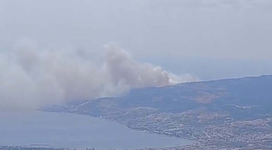İzmir'de orman yangını