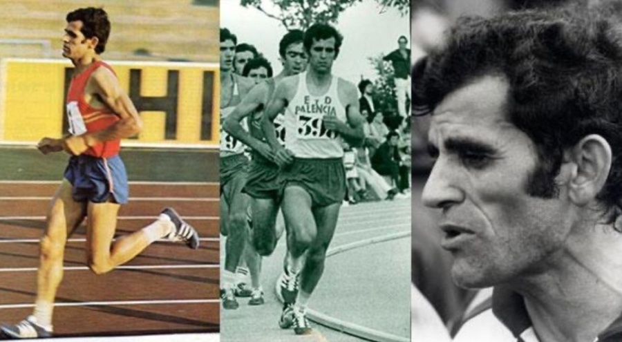 'Becerril Aslanı' hayatını kaybetti