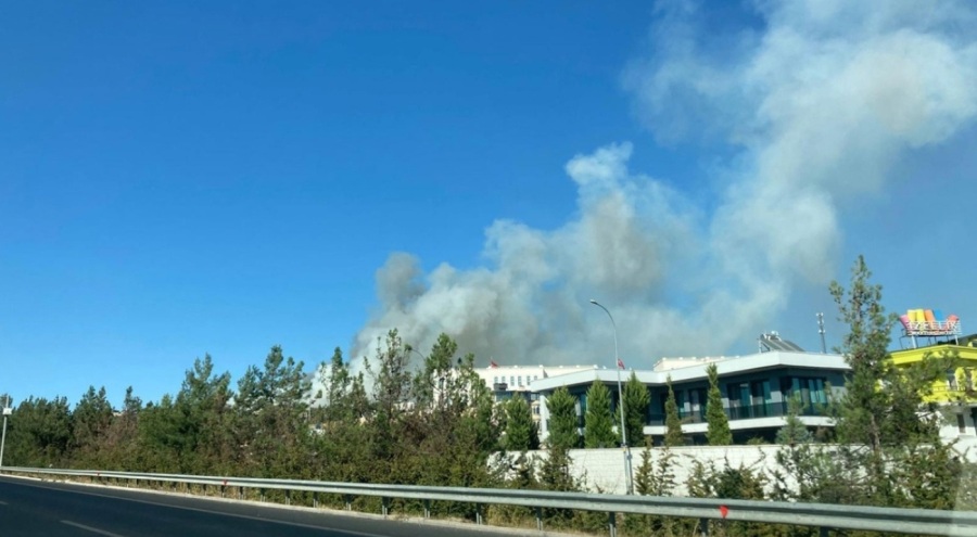 Gaziantep'te çıkan orman yangınına müdahale ediliyor