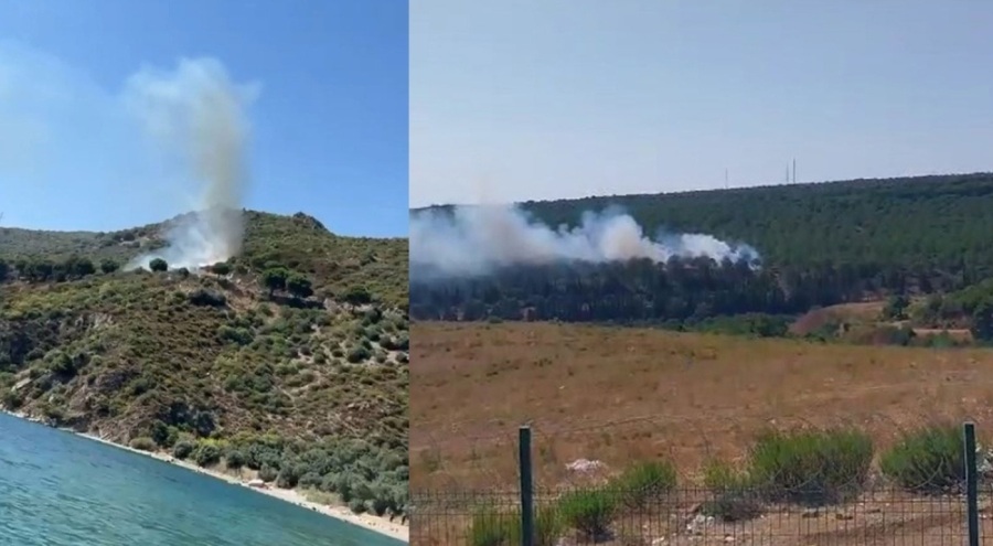 Yalova'da 2 farklı noktada yangın