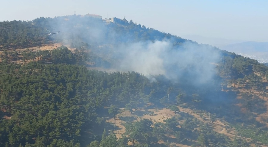 İzmir'de orman yangınına hızla müdahale ediliyor