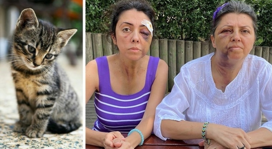 Kedi besleyen kardeşlere darp!