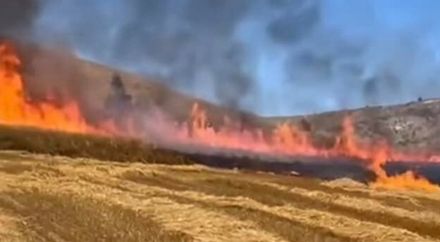 15 dönüm ekili tarla küle döndü